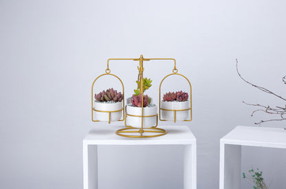 Rotating Carousel Ceramic Succulent Planter Set