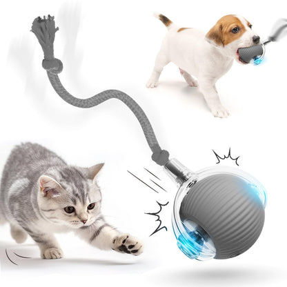 HOAIME Interactive Cat Toy Balls 2024 Upgraded Cat Toys for Indoor Cats Smart Self Rolling Interactive Cat Dog Ball Automatic Moving Peppy Pet Ball for Bored Indoor Adult Cats Kitten (Gray)