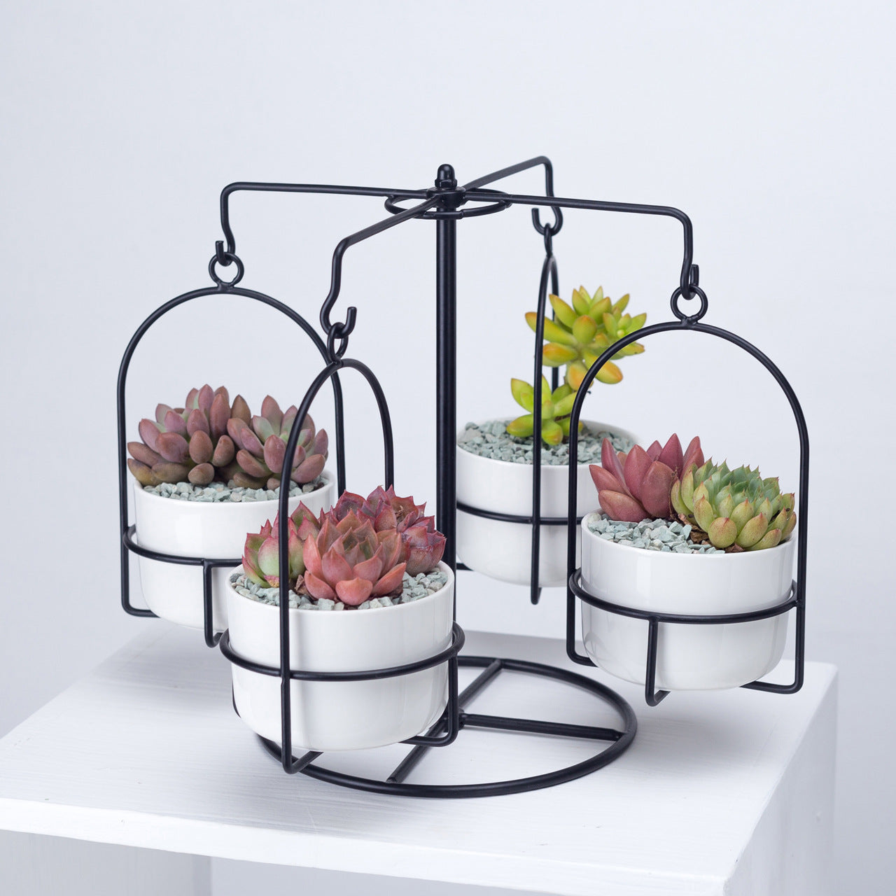 Rotating Carousel Ceramic Succulent Planter Set