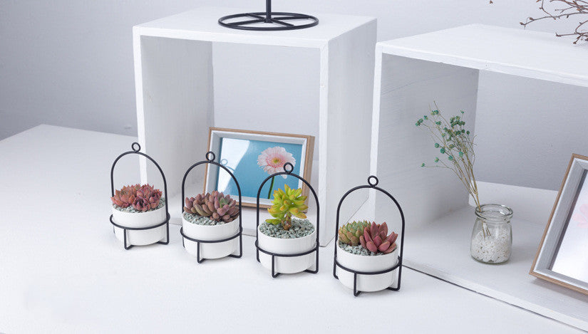 Rotating Carousel Ceramic Succulent Planter Set