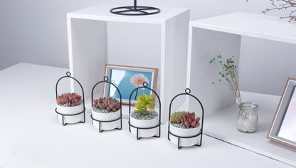 Rotating Carousel Ceramic Succulent Planter Set